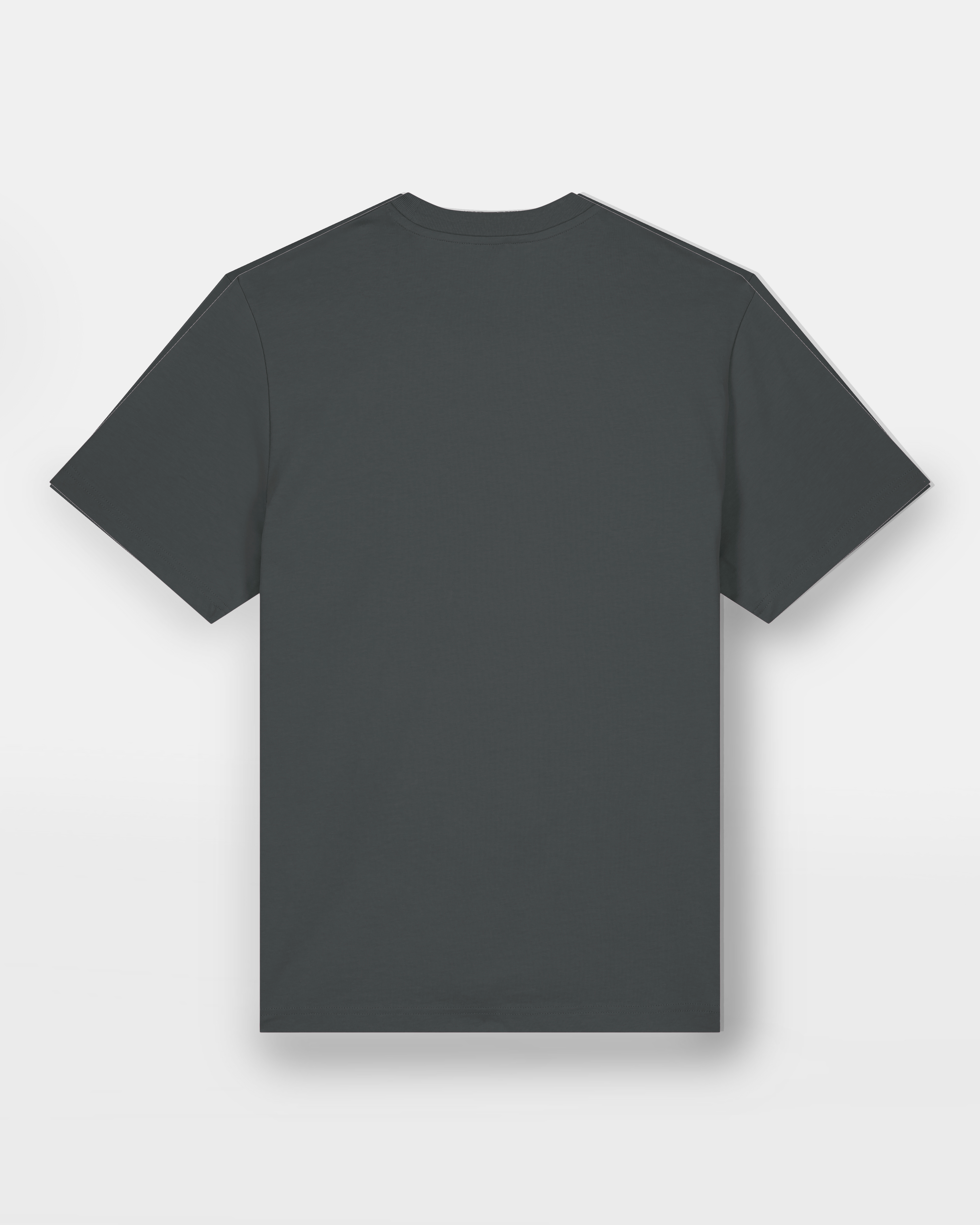 Team 1878 Tee